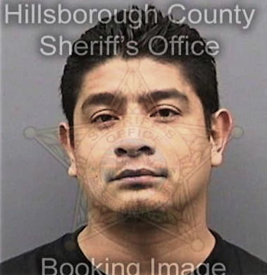 Javier Quilesmaldonado, - Hillsborough County, FL 