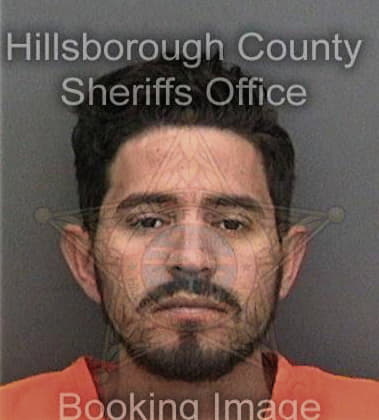 Tyler Stafford, - Hillsborough County, FL 