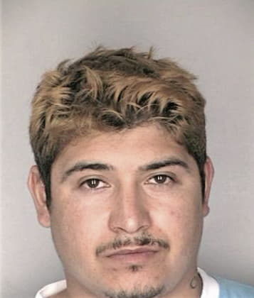 David Whitlow - Hillsborough County, FL 