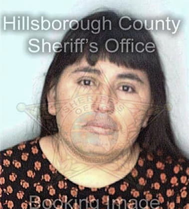 Terri Brehm - Hillsborough County, FL 