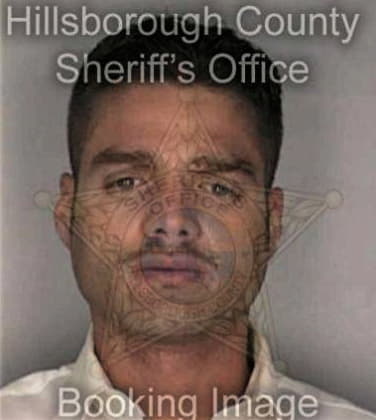 Rodriso Hernandez - Hillsborough County, FL 
