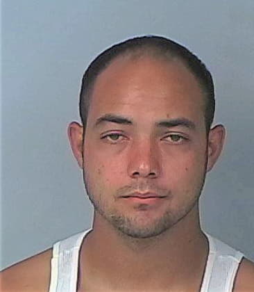 Miguel Loo, - Hernando County, FL 