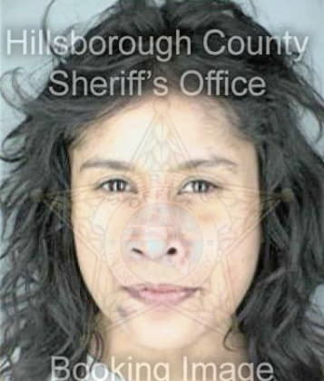 Karen McGinty - Hillsborough County, FL 