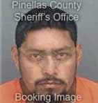 Manuel Mustelierrodriguez, - Pinellas County, FL 