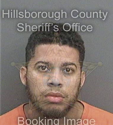 David Rivera, - Hillsborough County, FL 