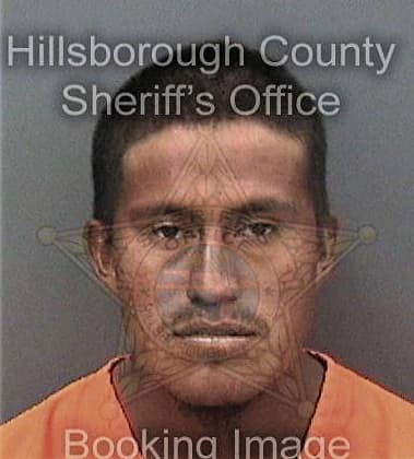 Jordan Hoffman, - Hillsborough County, FL 