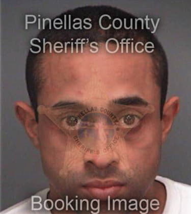 Desmond Rodriguez, - Pinellas County, FL 