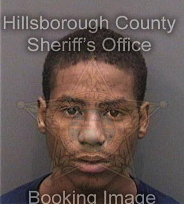 Vinson Brown, - Hillsborough County, FL 