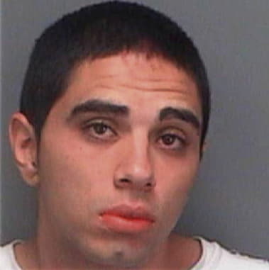 Yoan Castro, - Pinellas County, FL 