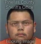 Milton Martinezchacon, - Pinellas County, FL 