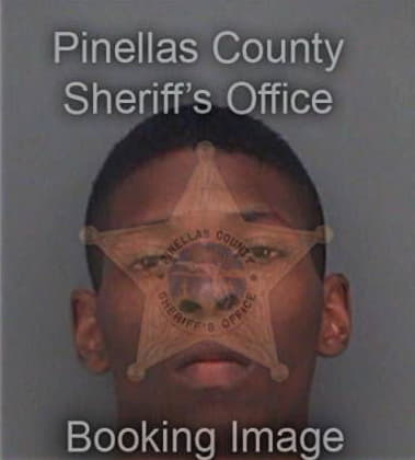 Robert McKinnon - Pinellas County, FL 