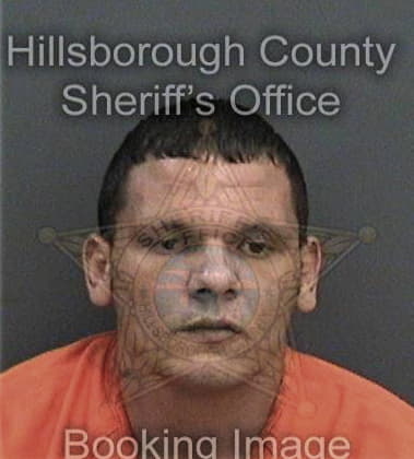 Fabian Vega-Reyes, - Hillsborough County, FL 