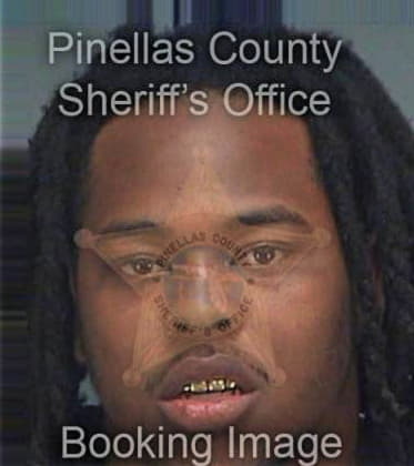 Michael Washington, - Pinellas County, FL 