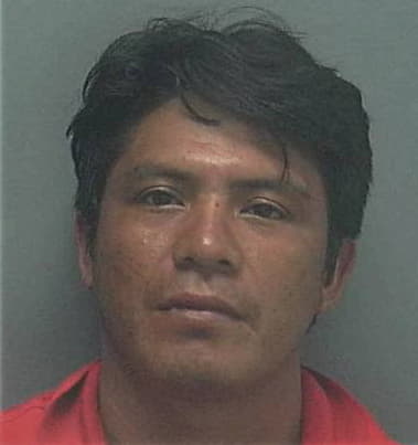 Luis Zambrano, - Lee County, FL 