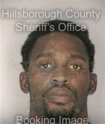Hassan Henry - Hillsborough County, FL 
