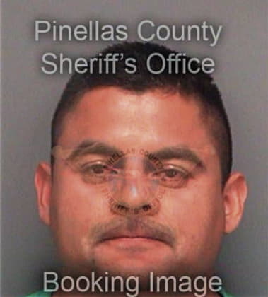 Rene Laureanomerlos, - Pinellas County, FL 