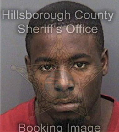 Ryan Melvin - Hillsborough County, FL 