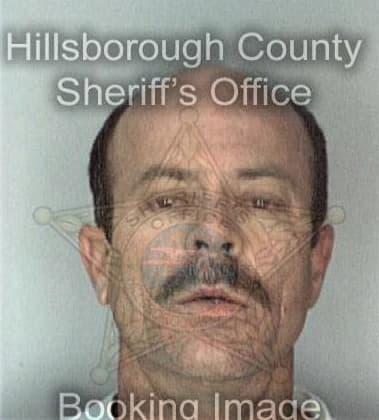 David Wiggins - Hillsborough County, FL 