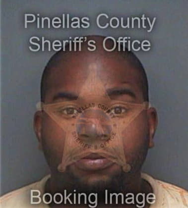 Steven Belser, - Pinellas County, FL 