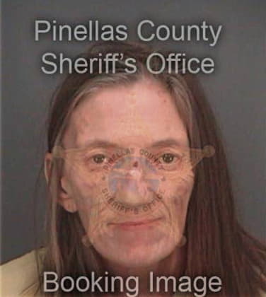 Anne Carroll, - Pinellas County, FL 