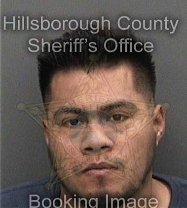Oscar Chavezsoto - Hillsborough County, FL 