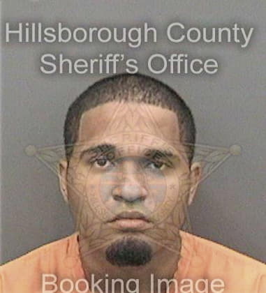 Christopher Dipasquale, - Hillsborough County, FL 