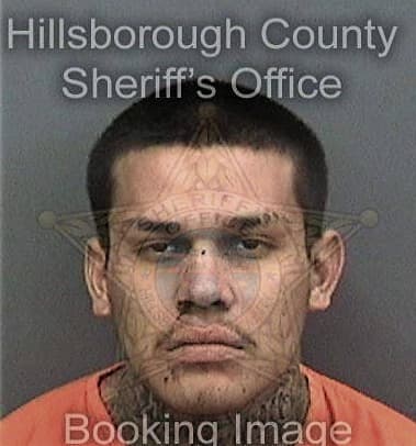 Joseph Miozza - Hillsborough County, FL 