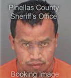 Niko Peralta, - Pinellas County, FL 