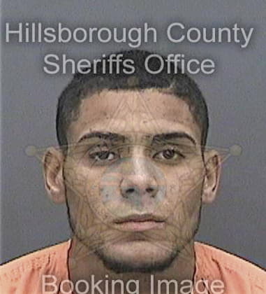 Fernando Reynosaantunez, - Hillsborough County, FL 