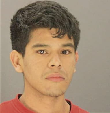 Pedro Rodriguezhernandez, - Dallas County, TX 