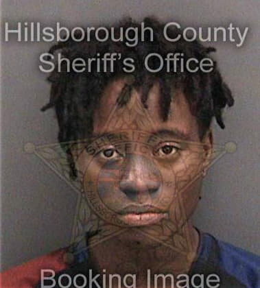Pamela Boggs - Hillsborough County, FL 
