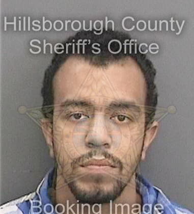 Donald Mantell, - Hillsborough County, FL 