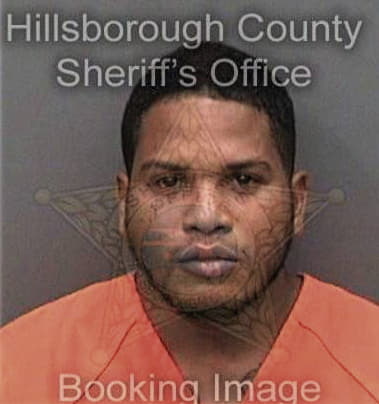 Frederick McCauley - Hillsborough County, FL 