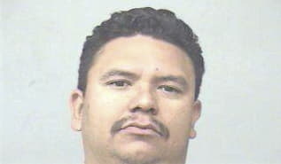 Leonel Mendozasalas, - Dallas County, TX 