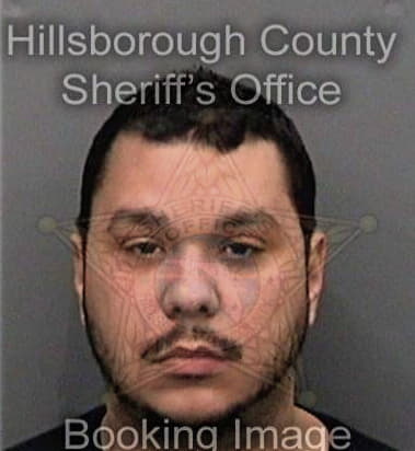 Luis Rosatorres, - Hillsborough County, FL 