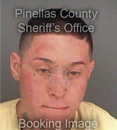 Amanda Serrano, - Pinellas County, FL 