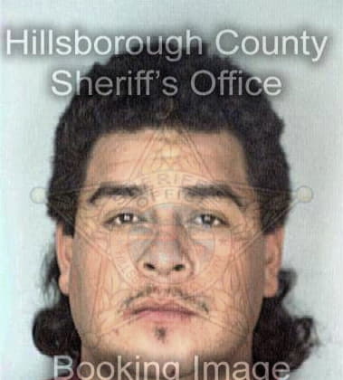Mark Bowers - Hillsborough County, FL 
