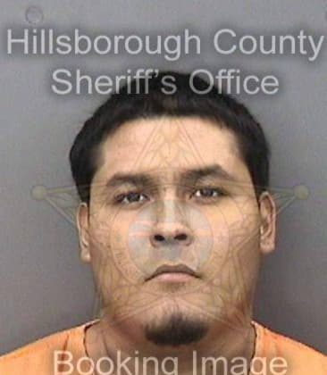 Robert Brown, - Hillsborough County, FL 