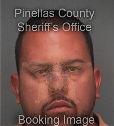 Edelmiro Garzadelarosa, - Pinellas County, FL 