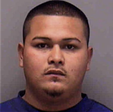 Gonzalo Mendoza, - Lee County, FL 