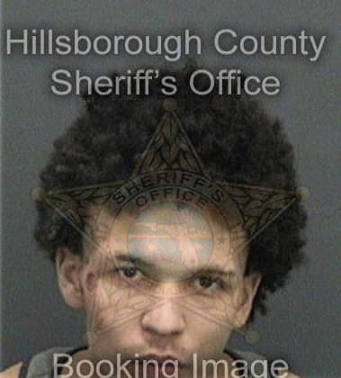 Anthony Mitchell - Hillsborough County, FL 