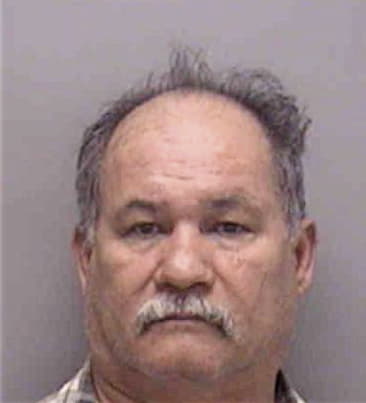 Vidal Pu-Castro, - Lee County, FL 