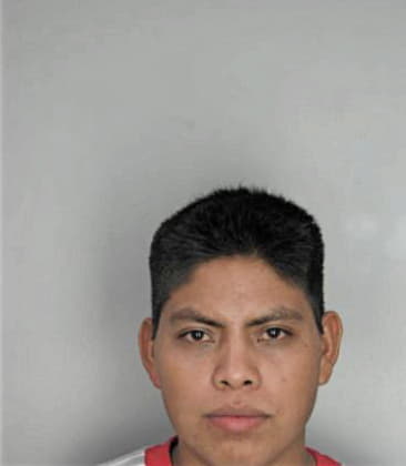 Jose Santosarguinzoni, - Hillsborough County, FL 