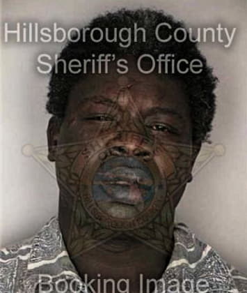 Julian Mitchell - Hillsborough County, FL 