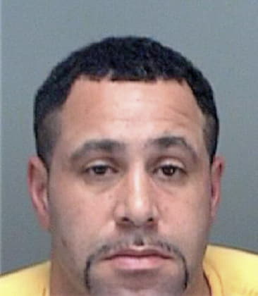 Daren Roccanello, - Pinellas County, FL 