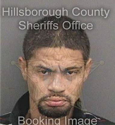 Ronald Woodcock, - Hillsborough County, FL 