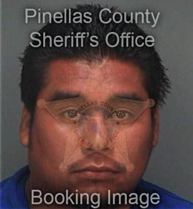 Alfonso Delgadillo, - Pinellas County, FL 