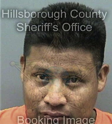 Rene Martinezgutierrez, - Hillsborough County, FL 