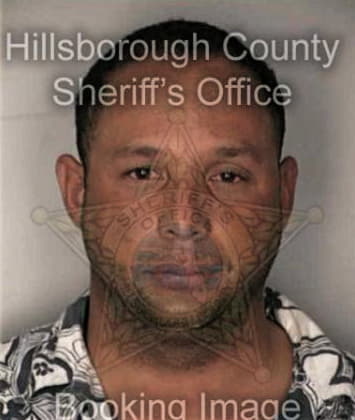 Rafael Maurell - Hillsborough County, FL 