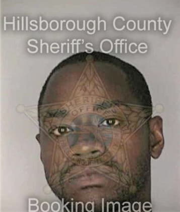 Amir Rashidel, - Hillsborough County, FL 